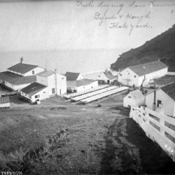 picture of houses in black and white