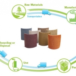 Sustainable Development Framework