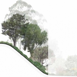 Landscape Framework + Forest Management Plan